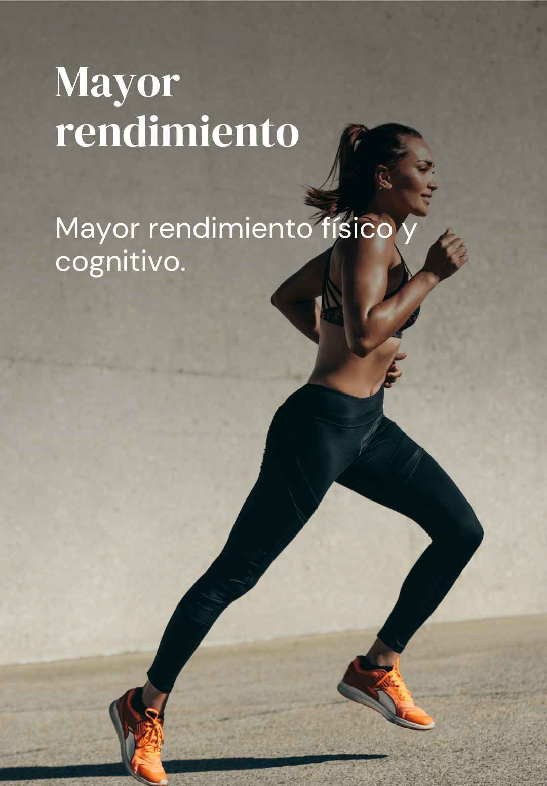 Mayor rendimiento